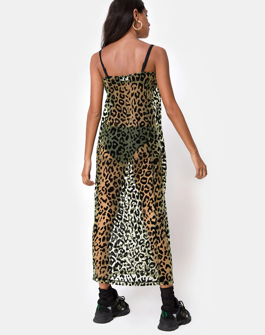Maxine Maxi Dress in Lime Animal Flock - Awmao