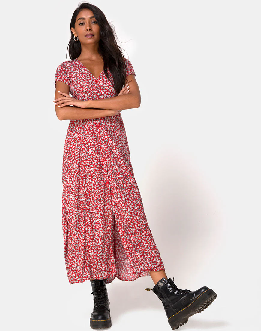 Sanrin Dress in Ditsy Rose Red Silver - Awmao