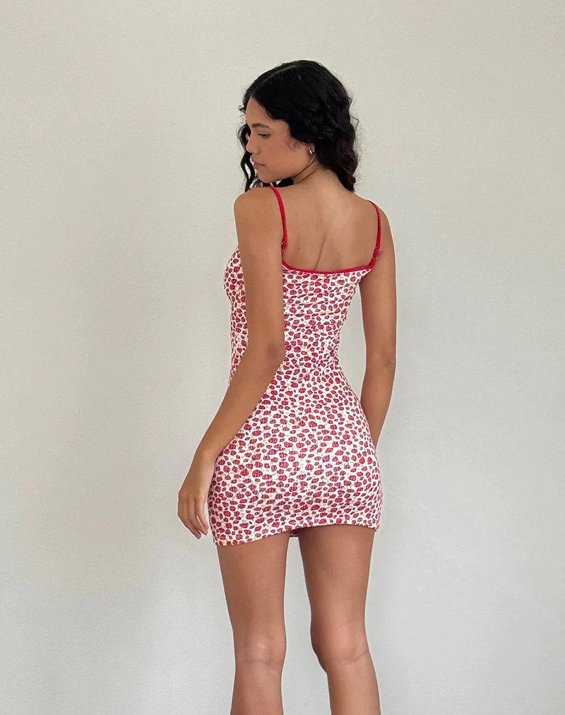 Gracias Mini Dress in Strawberry 2023 Print - Awmao