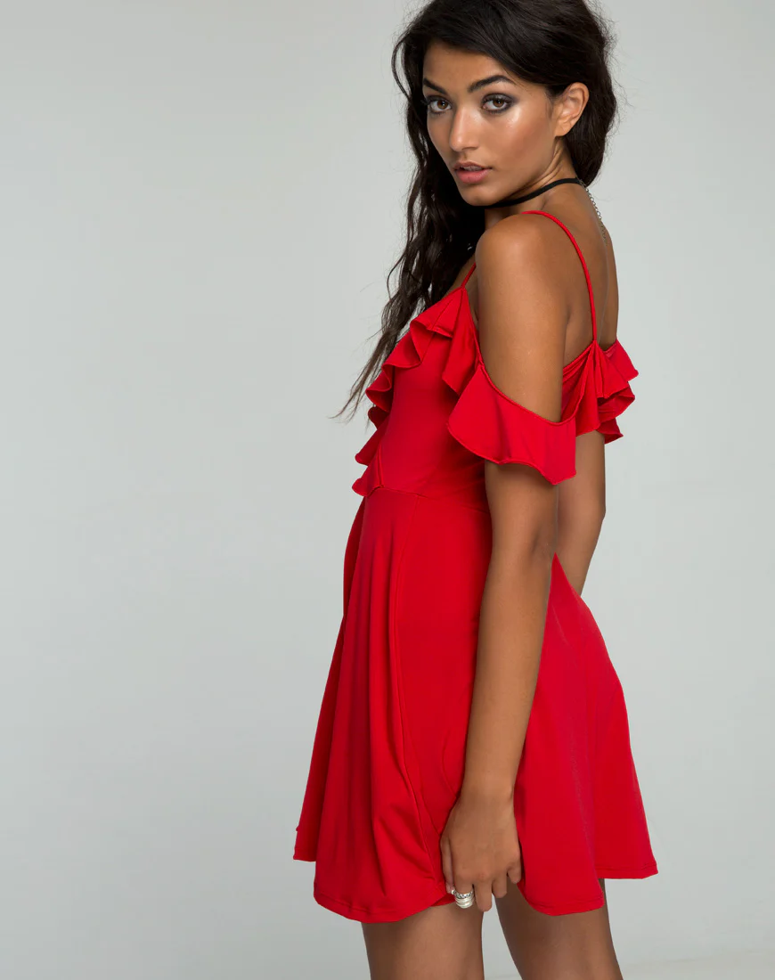 Cannes Skater Dress in Heart Red - Awmao