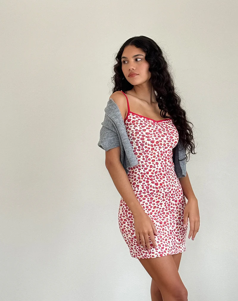 Gracias Mini Dress in Strawberry 2023 Print - Awmao