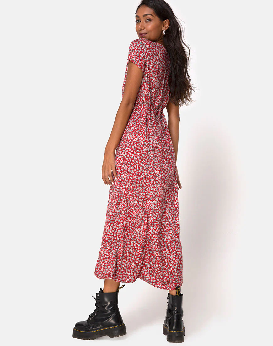Sanrin Dress in Ditsy Rose Red Silver - Awmao
