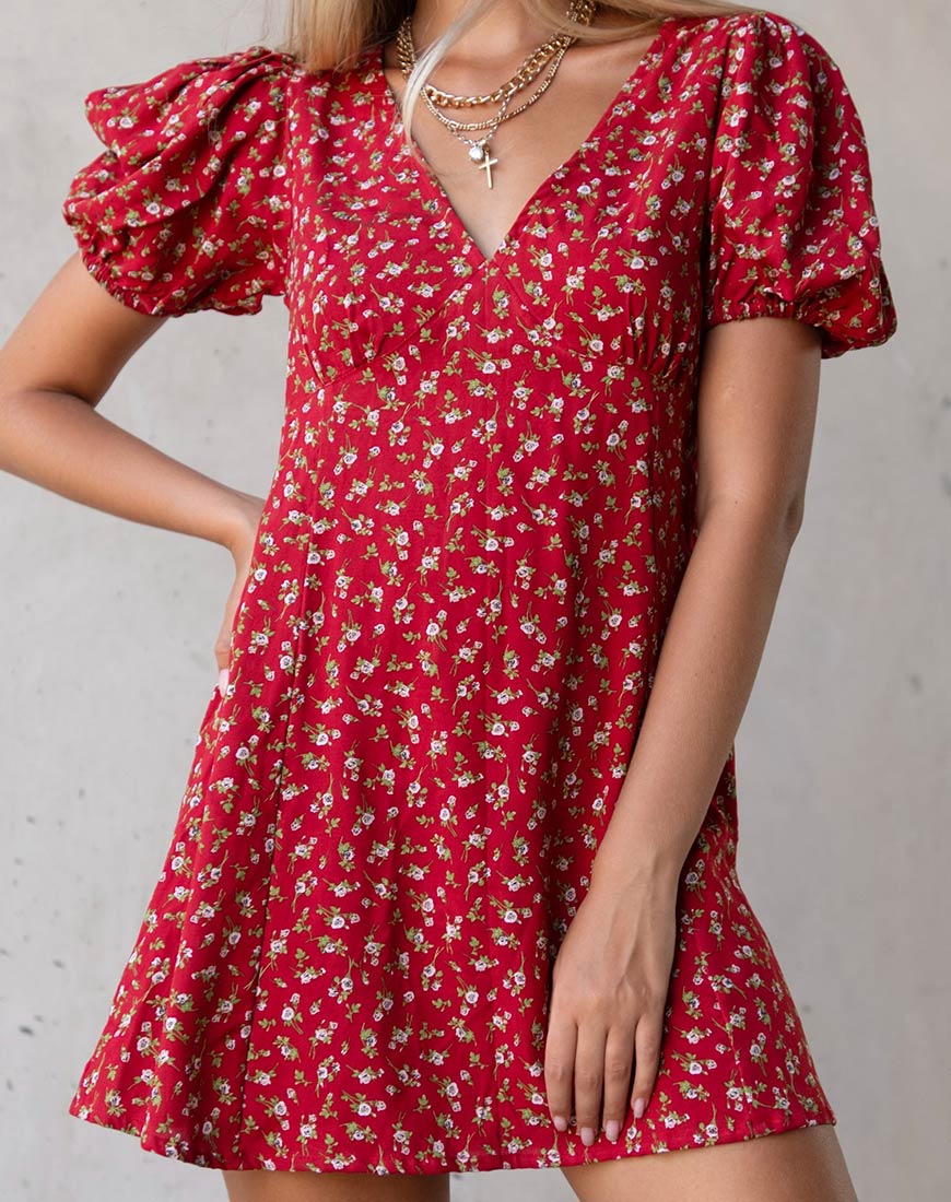 Elfira Dress in Falling for You Floral Red - Awmao