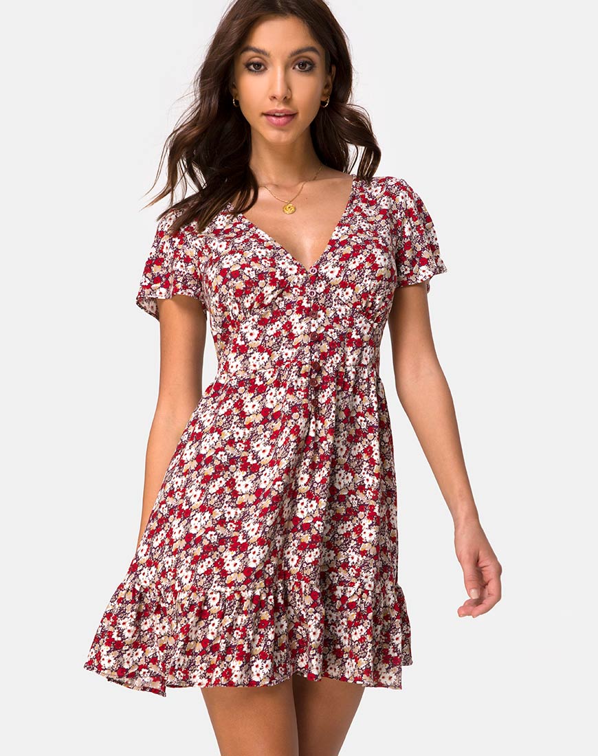 Laily Skater Dress in Floral Charm Red - Awmao