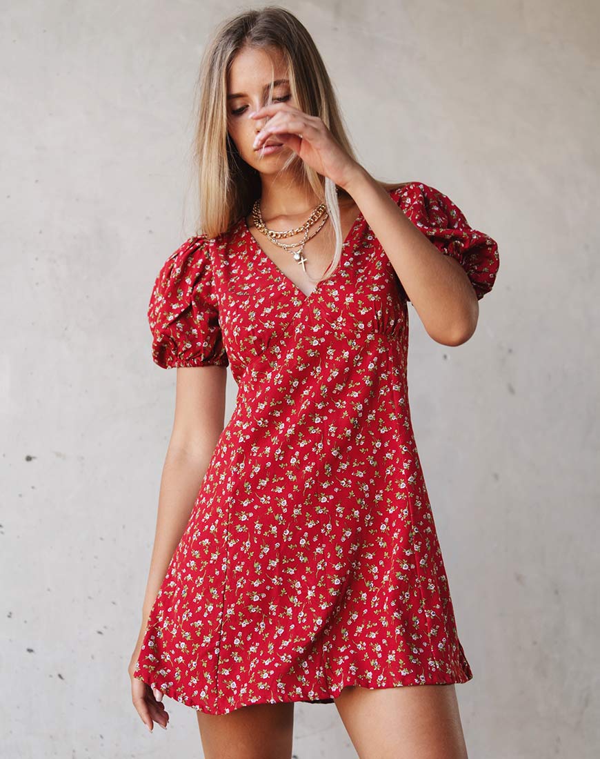 Elfira Dress in Falling for You Floral Red - Awmao