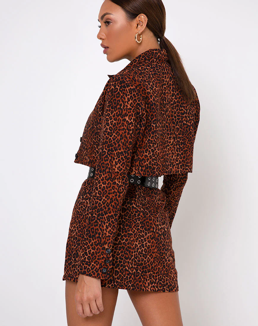 Sheny Mini Skirt in Ditsy Leopard Orange - Awmao
