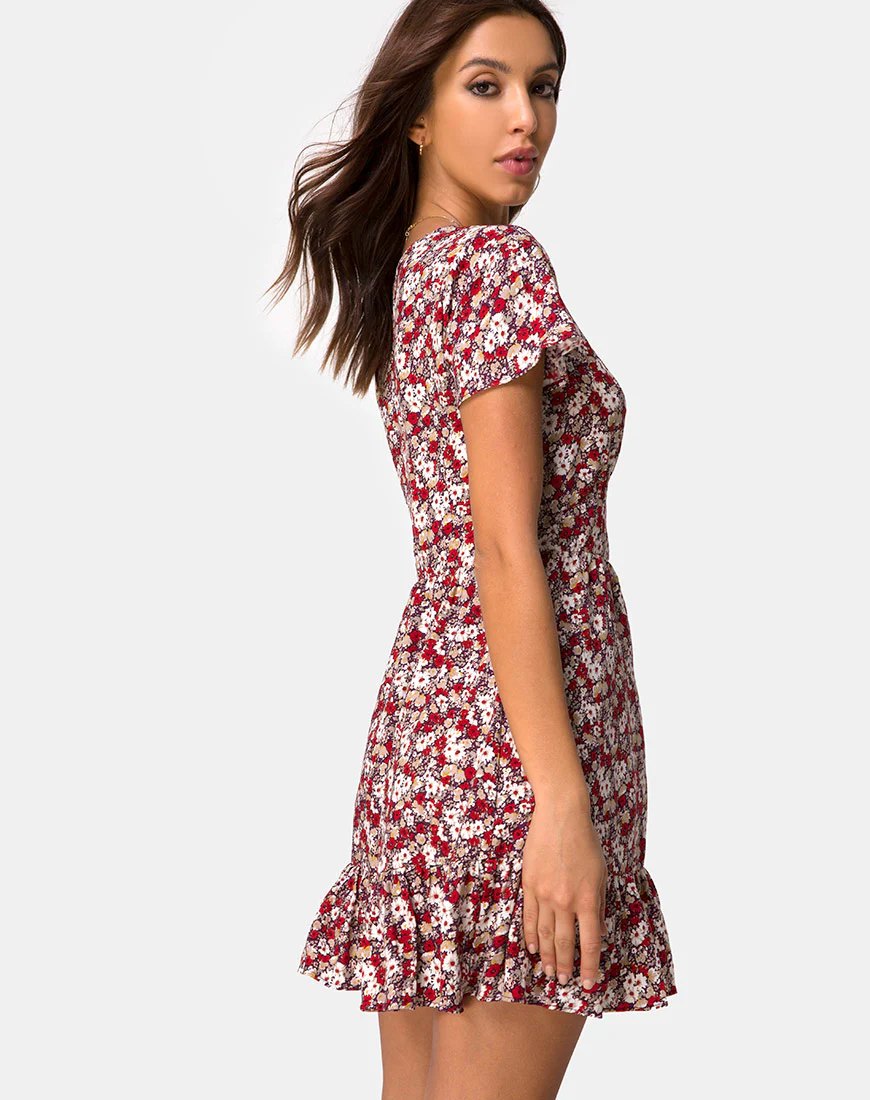 Laily Skater Dress in Floral Charm Red - Awmao