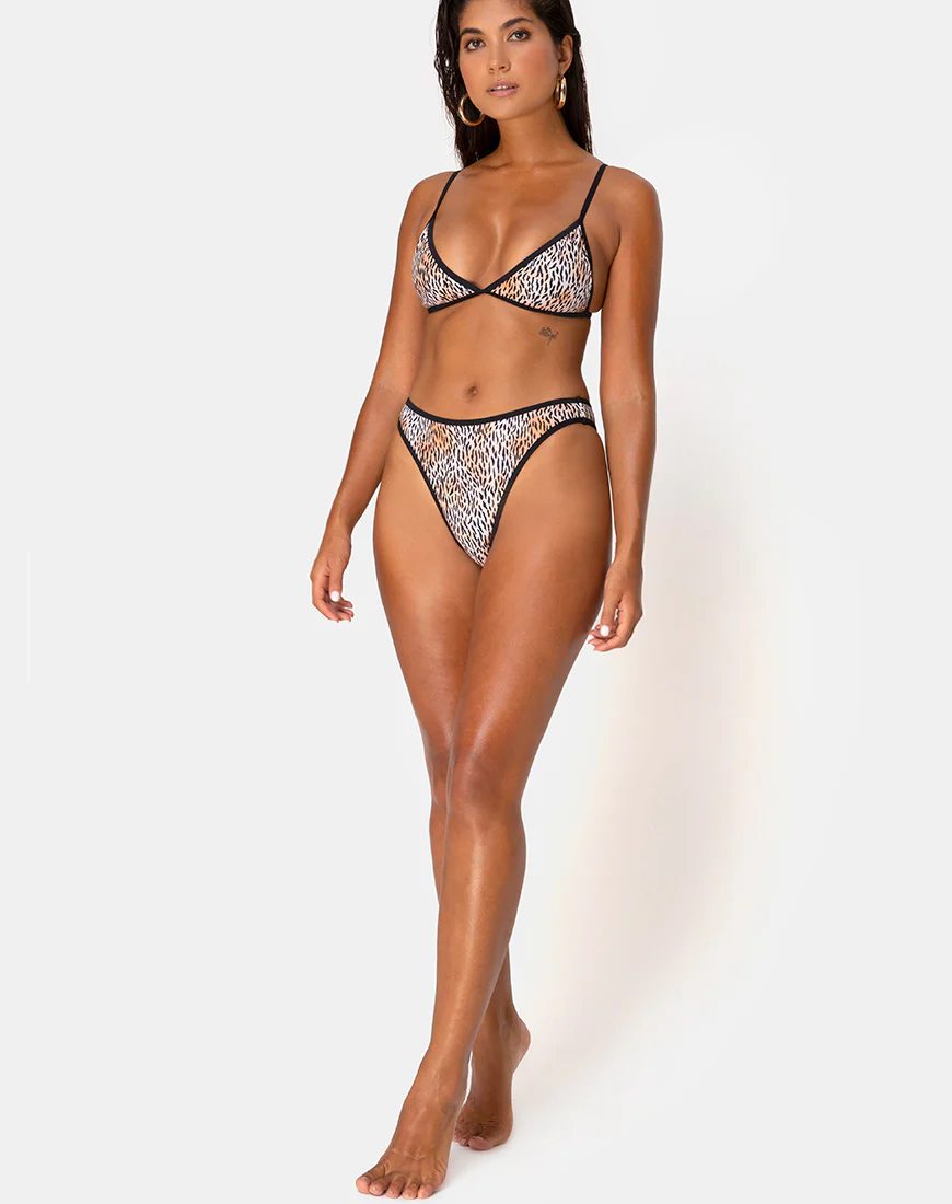 Varna Bikini Bottom in Mini Tiger with Black Binds - Awmao